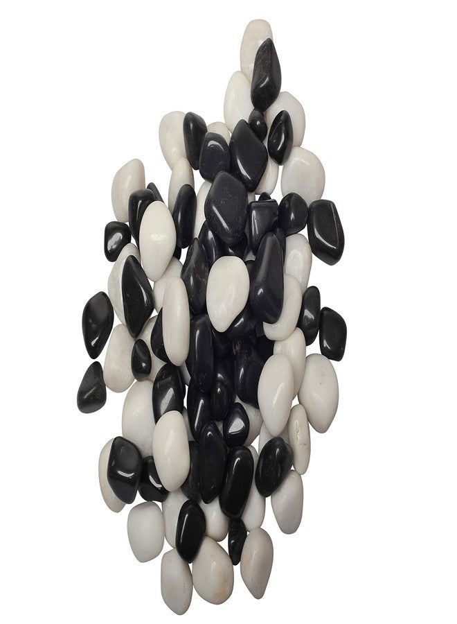 Bum Bum Bhole Polished Black & White Pebbles Stone Home Decorative Marbles - 1 Kg - Image 1